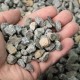 3/8" Smokin Granite Pea Gravel