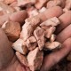 1" Dusty Rose 