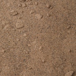 SID 55