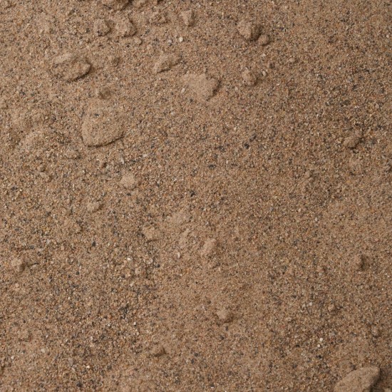 SID 55
