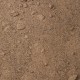SID 55