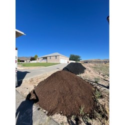 Compost "Steer"