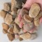 1-1 3/4" City Creek Pebbles