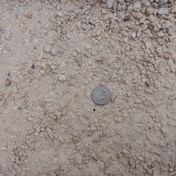 Majestic Insta-Path™