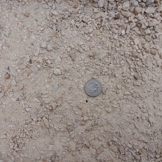 Majestic Insta-Path™