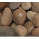 2-4" Autumn Sunrise Cobble