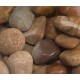 2-4" Autumn Sunrise Cobble