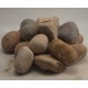 2-4" Autumn Sunrise Cobble