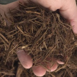 Juniper Mulch