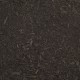 Premium Organic Compost