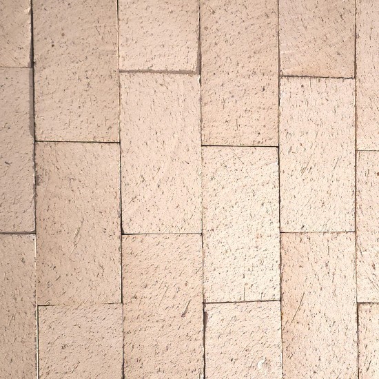 Clay Brick Pavers - Arctic White