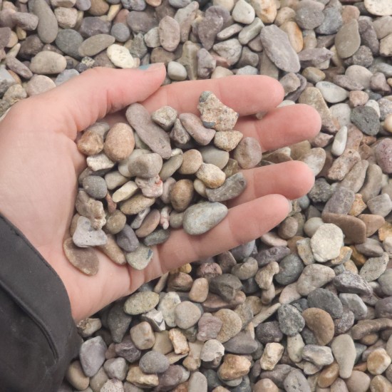 1/2" Utah's Rainbow Rock