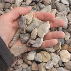 3/4" Utah's Rainbow Rock