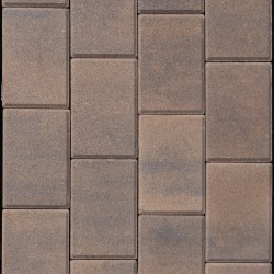 Aviano  (4pc) Pavers  6cm - Desert Blend TM