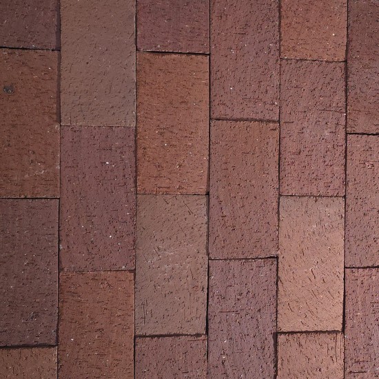 Clay Brick Pavers  - Patio