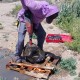 Boulder Core Drilling