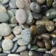 1/2" - 1" Mexican Beach Pebbles