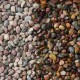 3/8" Rainbow Pebbles