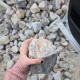 3-8" Royal Cobble
