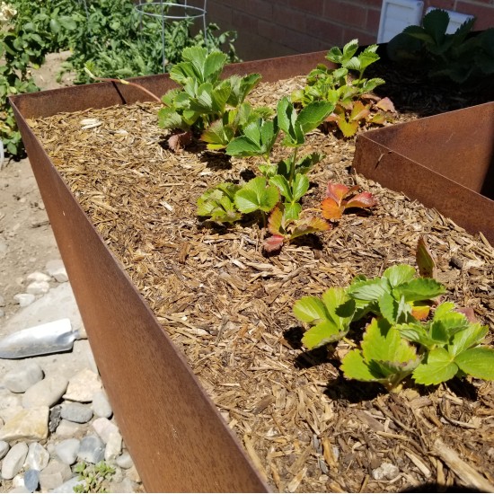 Steel Container "Rust" | Custom