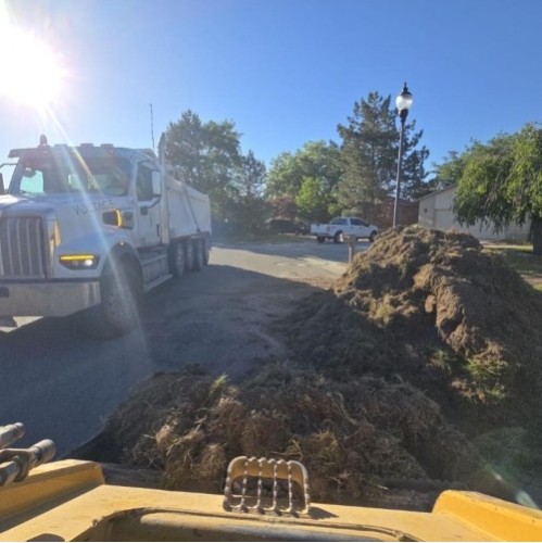 Sod Removal, Haul Off & Disposal