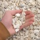 1/2" White Marble Stone