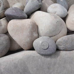 2-8" Modern River Cobble