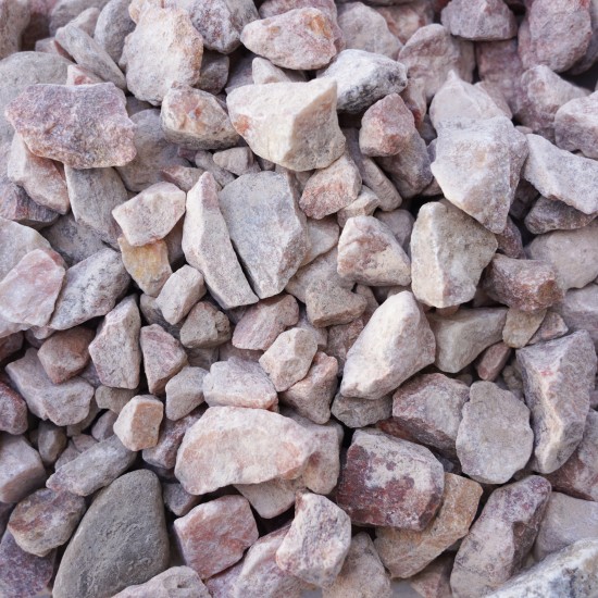 1 1/2" Mountain Rose