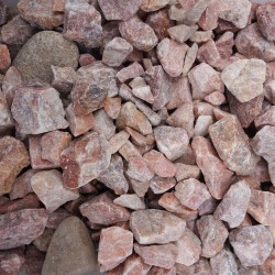 1 1/2" Mountain Rose