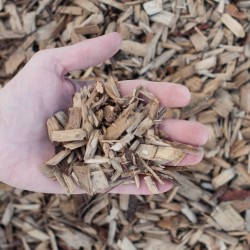 Certified Play Ground Chips