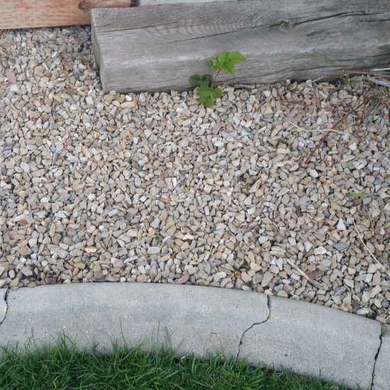 3/4" Oquirrh Gravel