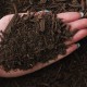 Compost "Green Waste"