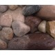 2-4" Passion River Cobble