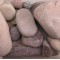 2-4" Passion River Cobble