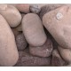 2-4" Passion River Cobble