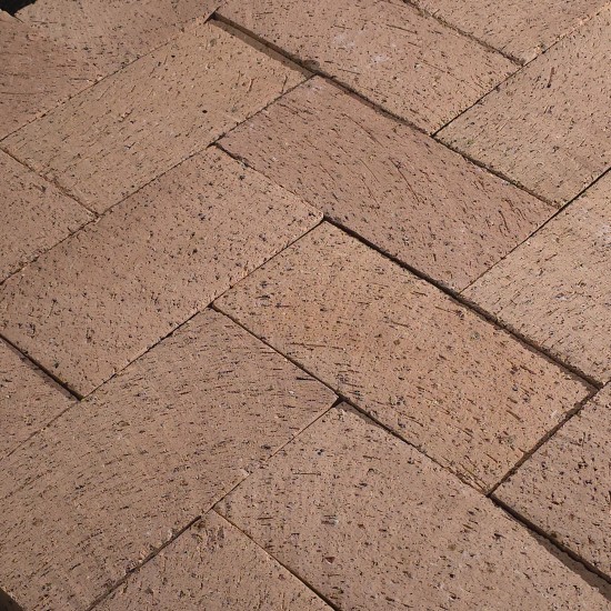 Clay Brick Pavers - Golden Buff