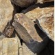 Wild Desert Boulders