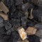 2" Casino Gravel