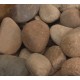 2-4" Autumn Sunrise Cobble