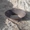 52" Fire Pit (Small - Misc.)