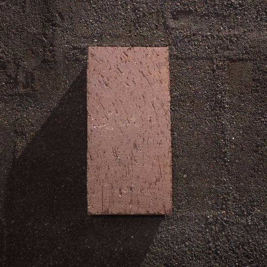 Clay Brick Pavers  - Patio