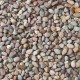 3/8" Rainbow Pebbles