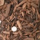Spruce, Pine & Fir Bark
