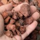 1" Red Lava Rock