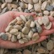 3/4" Lakeside Gravel 