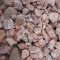 1 1/2" Mountain Rose