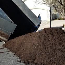 Raised Garden Bed Soil