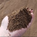 Soil