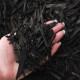 Black Mulch