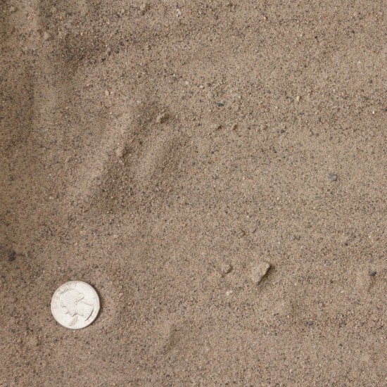 Utah's Best Play Sand